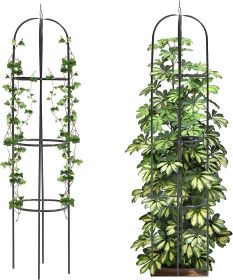 Metal Obelisk Trellis,Adjustable Heights Garden Trellis,Plant Assistant for Cucumbers,Rose,Tomato,Vines,Vegetables Trellis Cage - Green