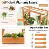 Raised Garden Bed with Trellis or Climbing Plant and Pot Hanging - Natural