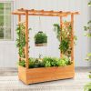 Raised Garden Bed with Trellis or Climbing Plant and Pot Hanging - Natural